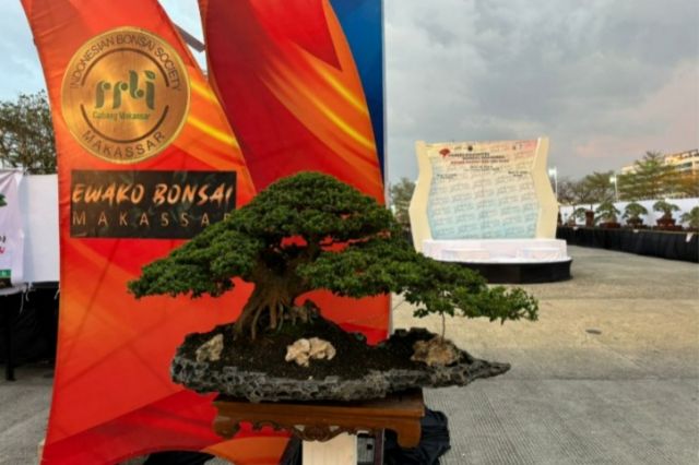 Ayo Kunjungi dan Saksikan Pameran “Ewako Bonsai 2024” di Makassar