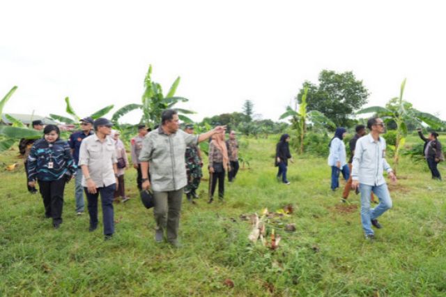 Ditanam Saat Kemarau, Pisang Cavendish di Tamarunang Gowa Dipanen Empat Bulan Lagi