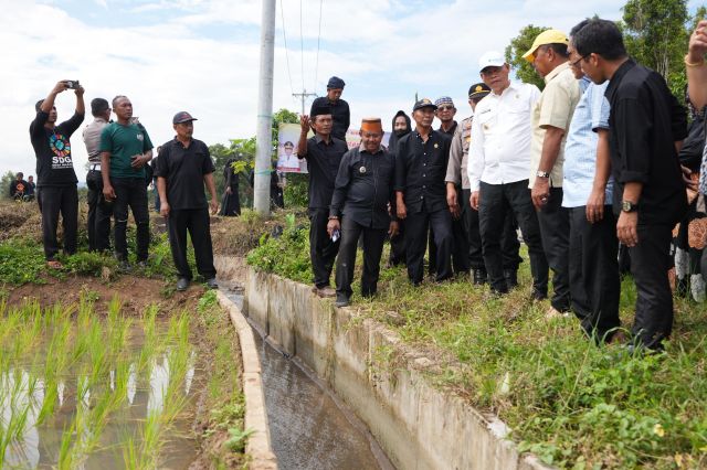 Dikunjungi Prof Fadjry Djufry, Perbaikan Irigasi Tersier di Bulukumba Berhasil Tingkatkan Hasil Panen Petani