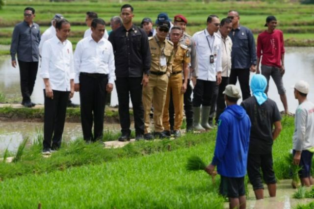 Penjabat Gubernur Sulawesi Selatan Prof Zudan Dampingi Presiden Jokowi dan Mentan Amran Kunjungan Kerja di Kabupaten Bone