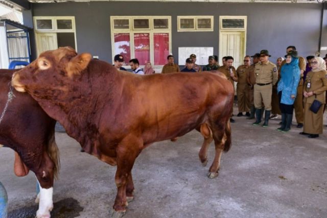 Pj Gubernur Prof Zudan Minta Kadis Kesehatan Hewan Buatkan Neraca Peternakan di 24 Kabupaten Kota se Sulsel