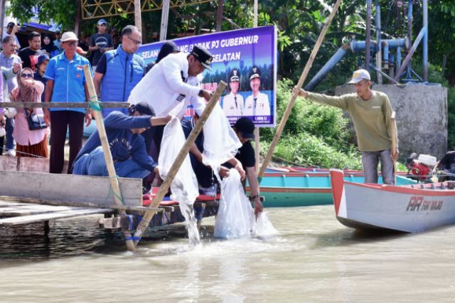 1 Juta 10 Ribu Benih Ikan Ditebar di Danau Tempe, Program Ketahanan Pangan Pj Gubernur Sulsel