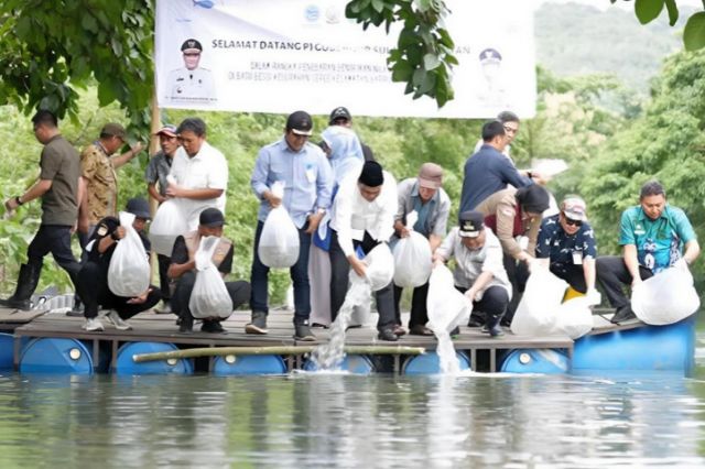 200 Ribu Benih Ikan Nila Ditebar di Barru