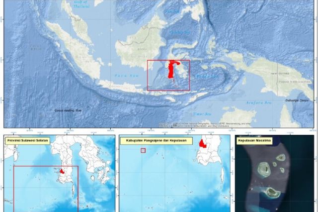 Fungsional Perencana Bappelitbangda Prov. Sulsel Hadiri Rapat Pembahasan Laporan Draft Final Studi Kelayakan Pembangunan Pelabuhan Pammantauang