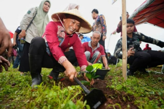 Program Sulsel Menanam Telah Tanam 12,5 Juta Lebih Pohon di Hutan Rakyat, Daerah Aliran Sungai dan Kebun Bibit Rakyat