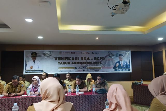 Fungsional Perencana Bidang Perekonomian dan SDA Bappelitbangda Prov. Sulsel Mengikuti Verifikasi RKA - SKPD T.A. 2025