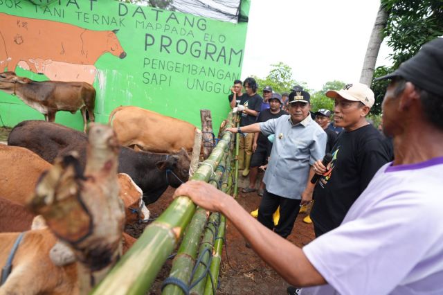 Inseminasi Buatan Jadi Harapan Baru Peternak Bulukumba untuk Tingkatkan Produksi