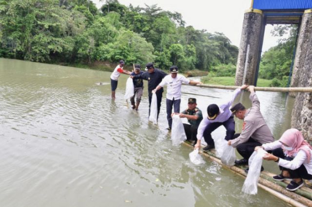 Hingga Hari Ini, Sudah 2,1 Juta Benih Ikan Air Tawar Ditebar di Bone