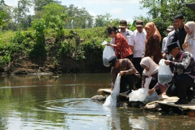Jadi Atensi Pj Gubernur Prof Zudan, Pemprov Sulsel Telah Salurkan 5 Juta Bibit Bantuan Benih Perikanan